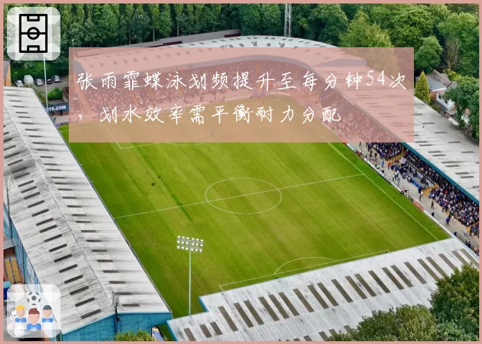张雨霏蝶泳划频提升至每分钟54次,划水效率需平衡耐力分配