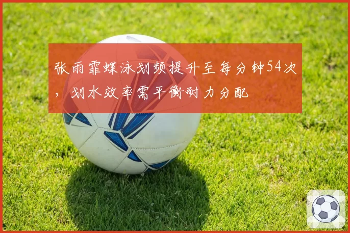 张雨霏蝶泳划频提升至每分钟54次,划水效率需平衡耐力分配