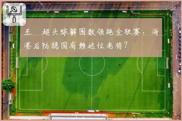 王燊超头球解围数领跑全联赛,海港后防稳固有赖这位老将?