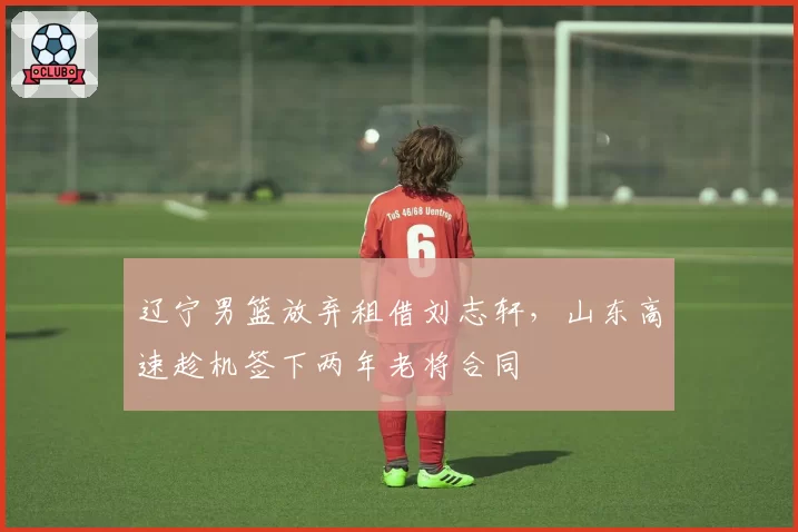 辽宁男篮放弃租借刘志轩，山东高速趁机签下两年老将合同